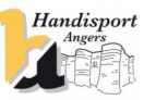 Handisport