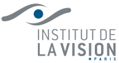 Institut de la vision Paris